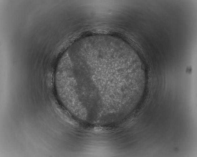 X0000114690641200911181254