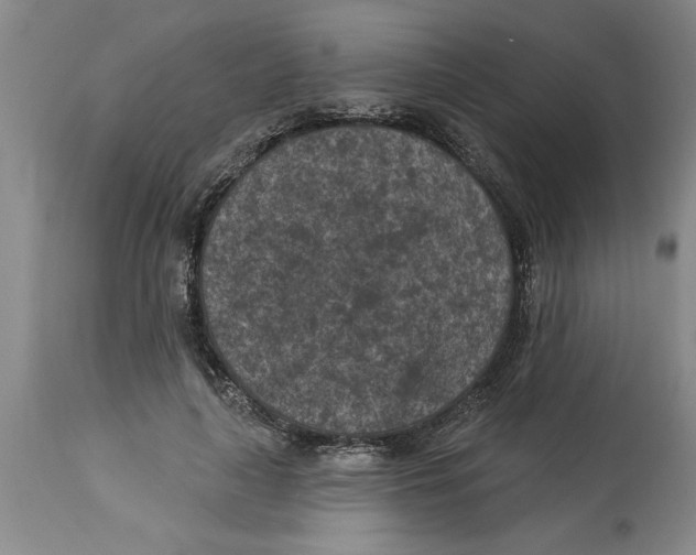 X0000114690643200911181254