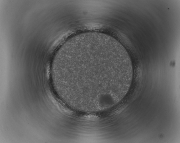 X0000114690644200911181254