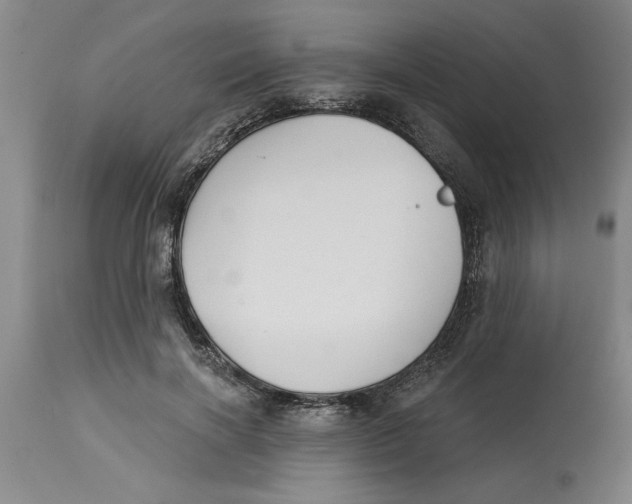 X0000114690646200911181254