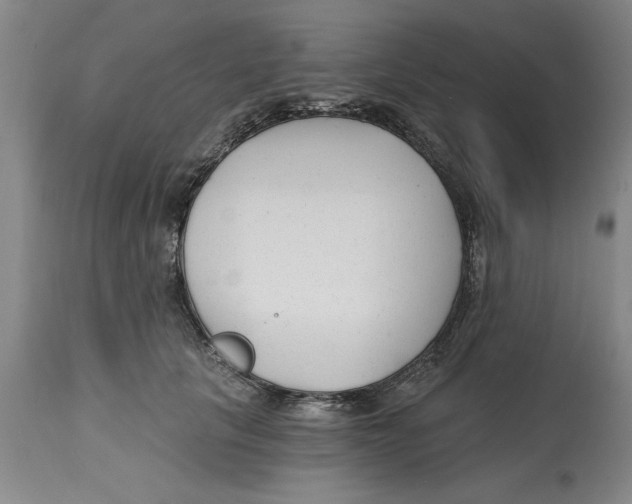 X0000114690657200911181254