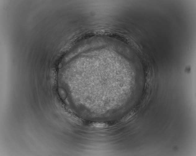 X0000114690659200911181254