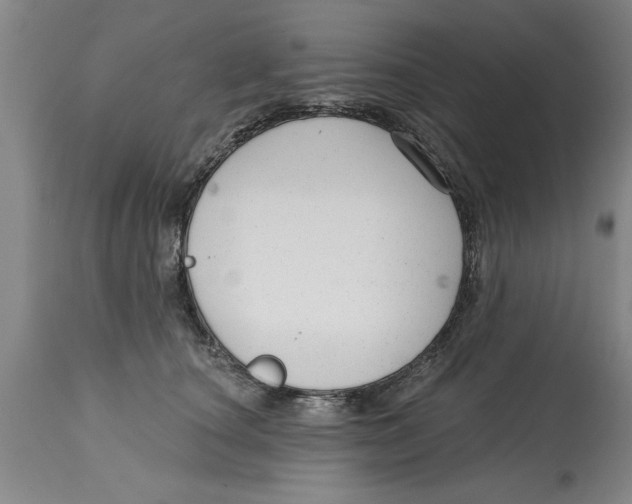 X0000114690660200911181254