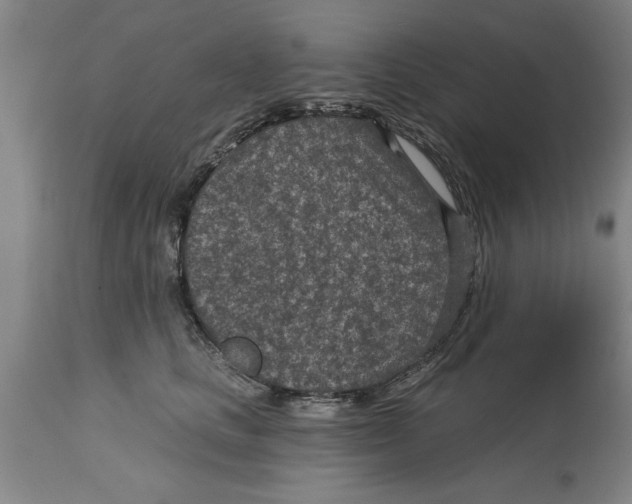 X0000114690661200911181254