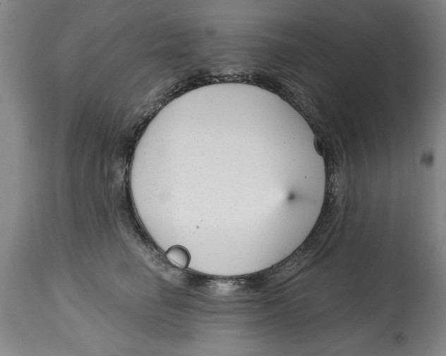 X0000114690662200911181254