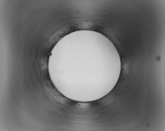 X0000114690665200911181254