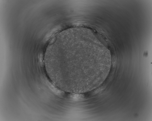 X0000114690670200911181255