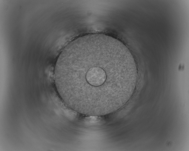 X0000114690672200911181255