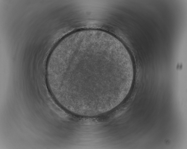 X0000114690673200911181254