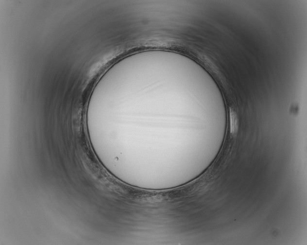 X0000114690675200911181254