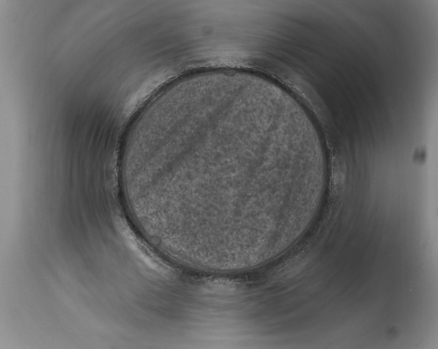 X0000114690677200911181254