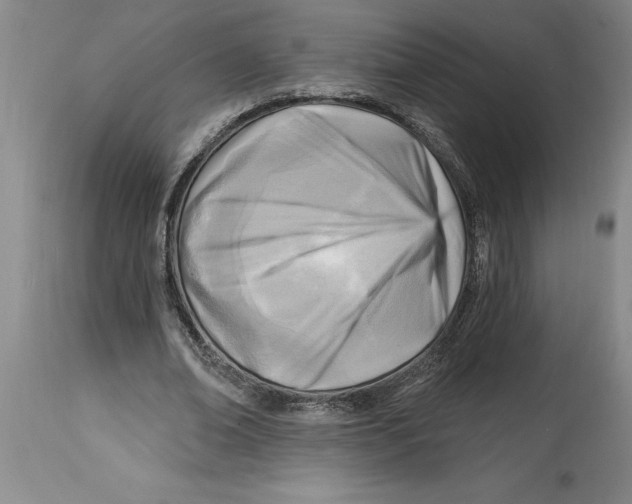 X0000114690678200911181254