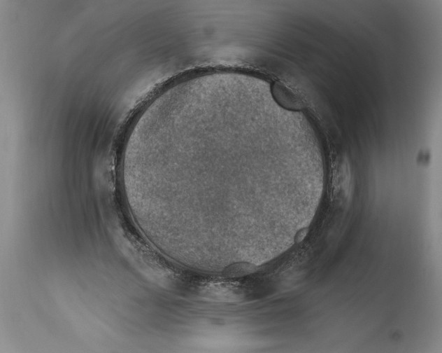 X0000114690680200911181254