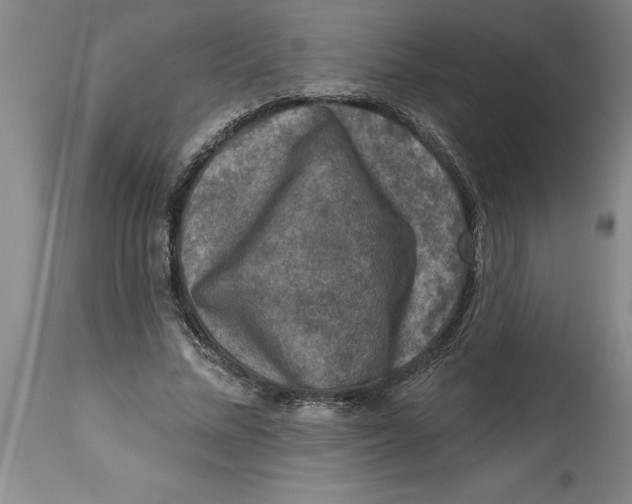 X0000114690684200911181254