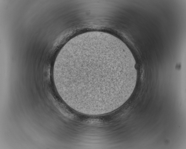 X0000114690685200911181254