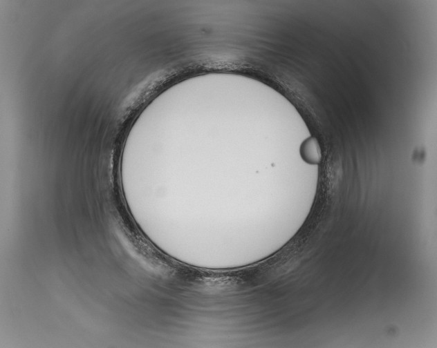 X0000114690686200911181254