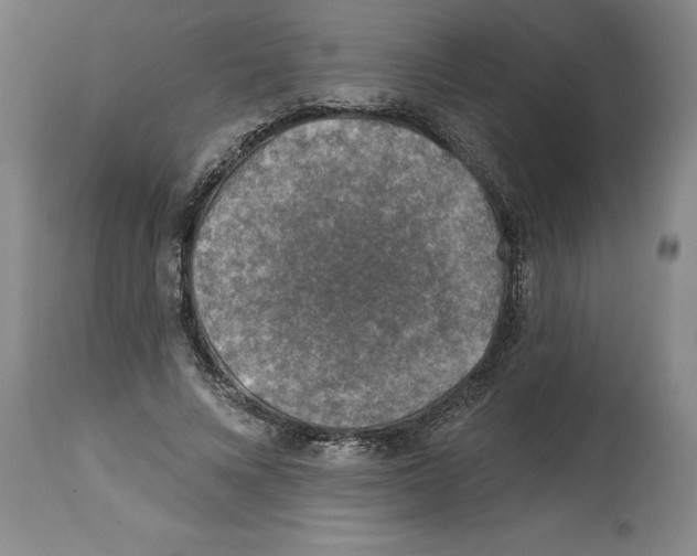 X0000114690688200911181254