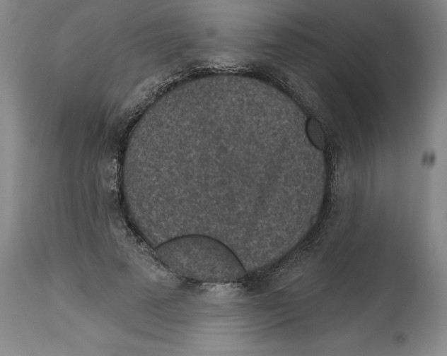 X0000114690689200911181254