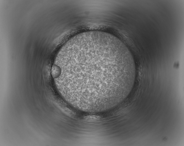 X0000114690691200911181253