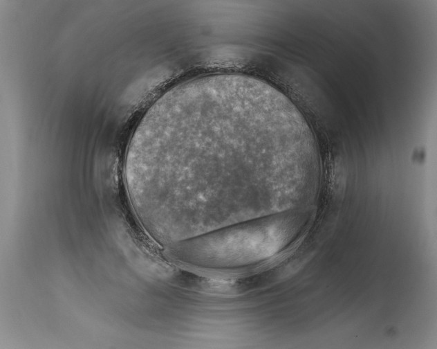 X0000114690692200911181253