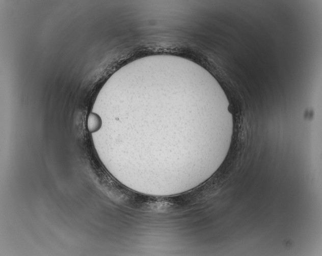 X0000114690695200911181253