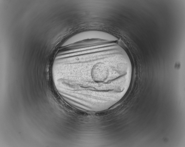 X0000114690696200911181253