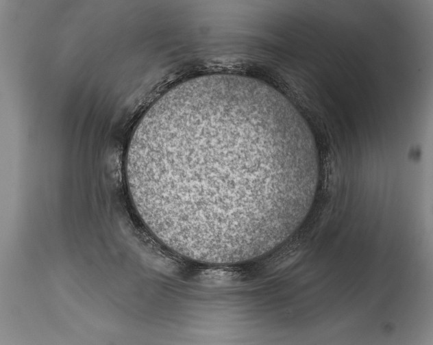 X0000114690699200911181253