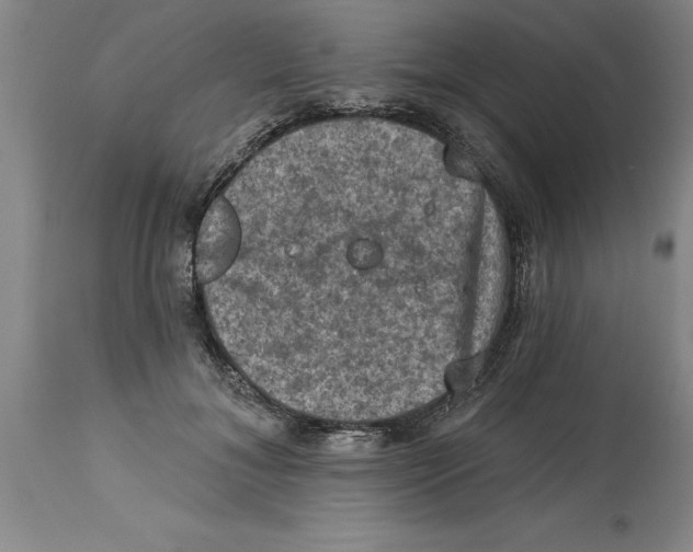 X0000114690700200911181253