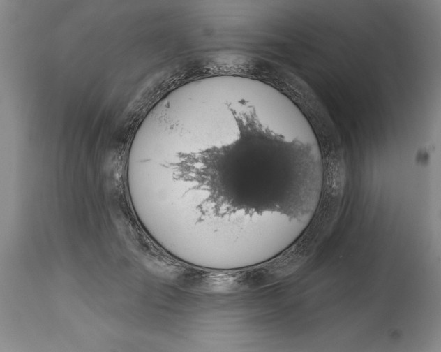 X0000114690701200911181253