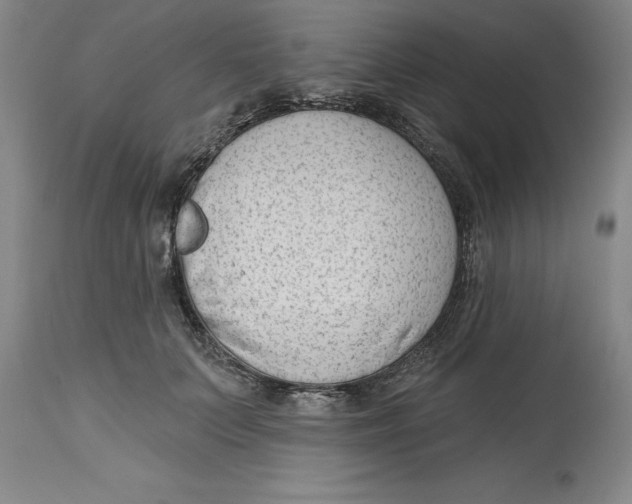 X0000114690703200911181253