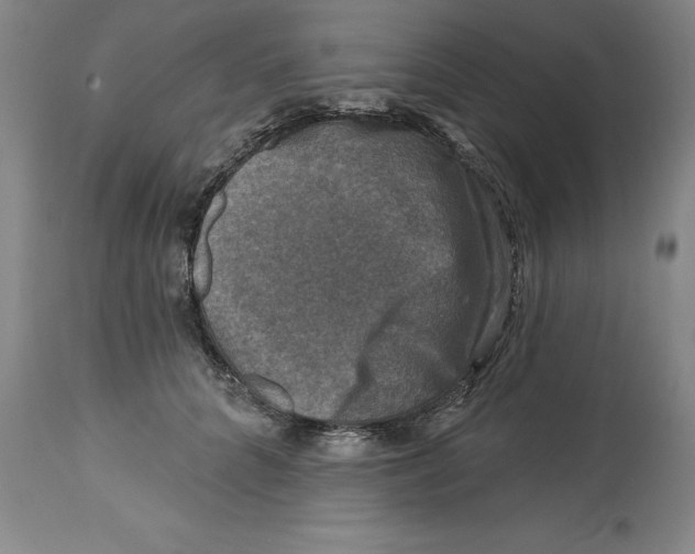 X0000114690704200911181253