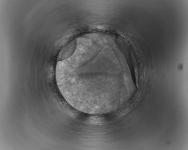 X0000114690708200911181253