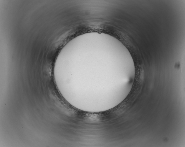 X0000114690710200911181253