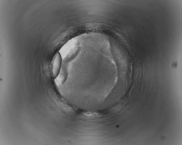 X0000114690712200911181253