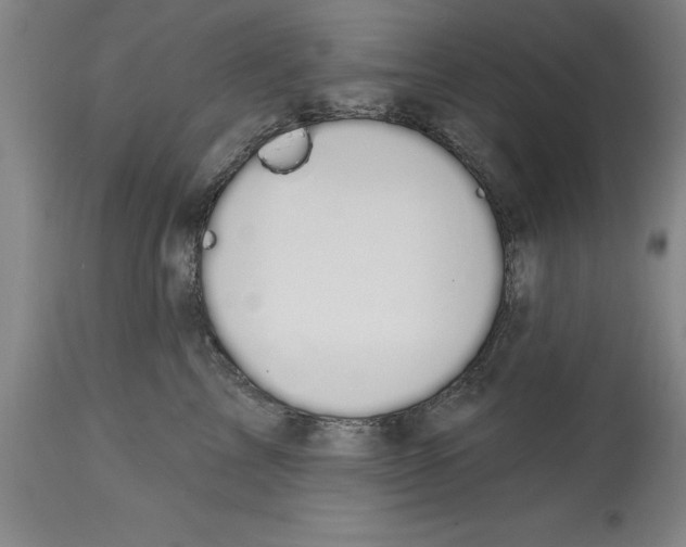 X0000114690713200911181253