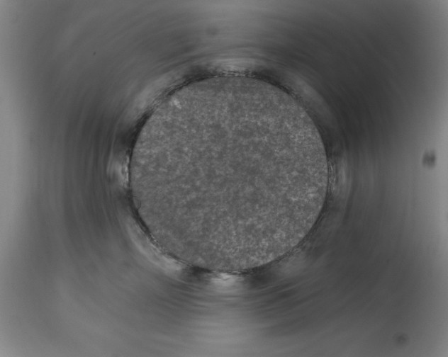 X0000114690718200911181253