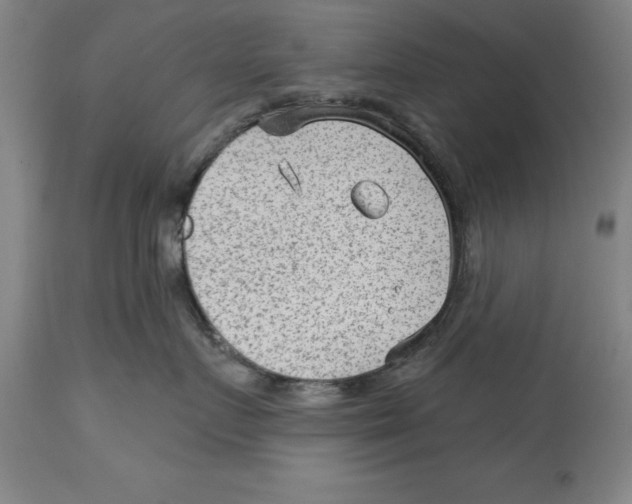 X0000114690719200911181253