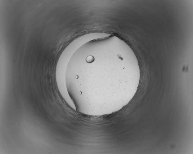 X0000114690720200911181253