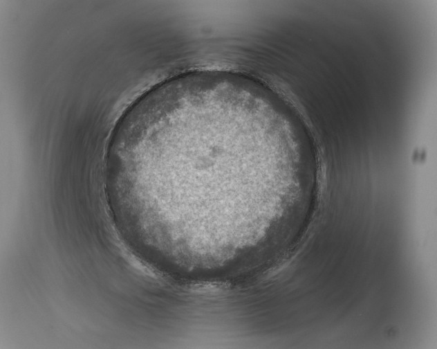 X0000114690721200911181252