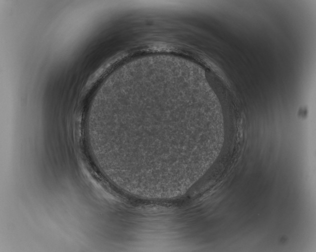 X0000114690722200911181252