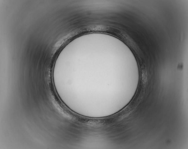 X0000114690725200911181252