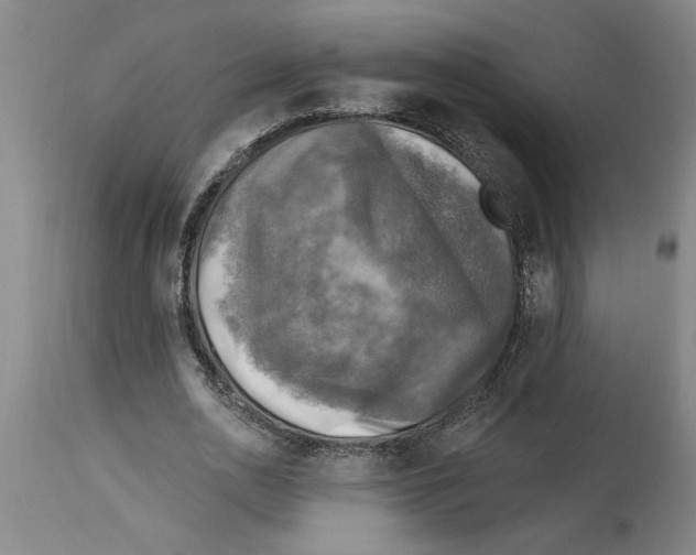 X0000114690726200911181252