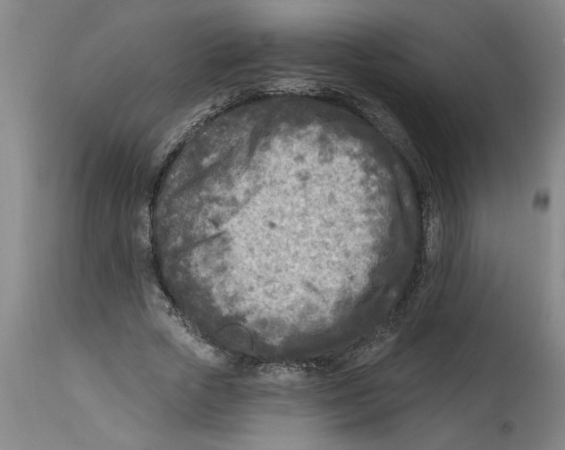 X0000114690729200911181253