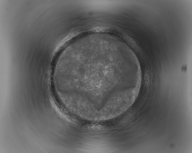 X0000114690730200911181253