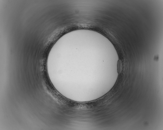 X0000114690738200911181253