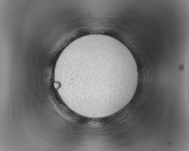 X0000114690742200911181253