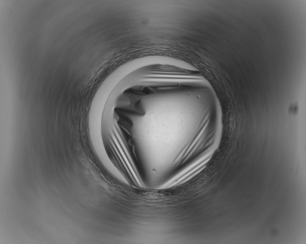 X0000114690750200911181253