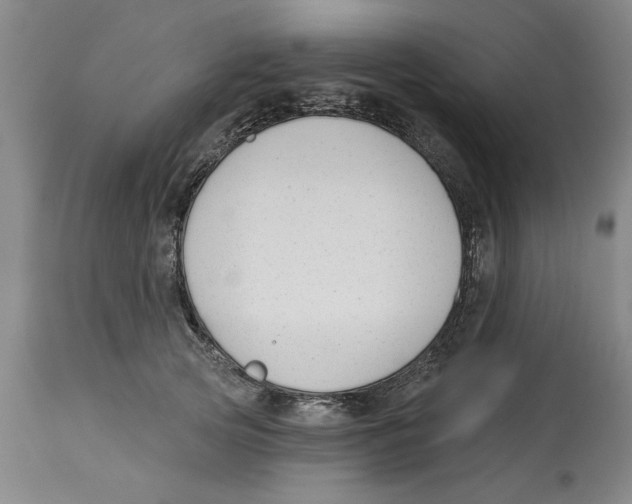 X0000114690753200911181253