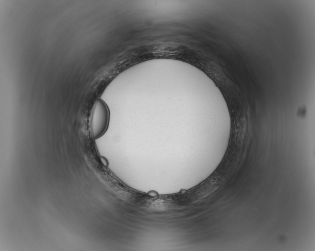 X0000114690755200911181253