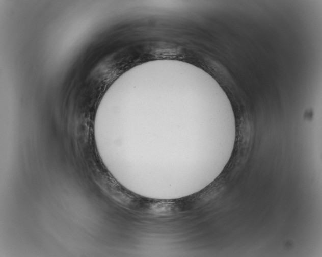 X0000114690761200911181253